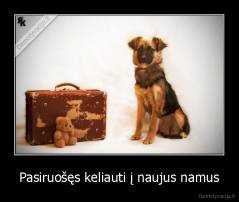 Pasiruošęs keliauti į naujus namus - 