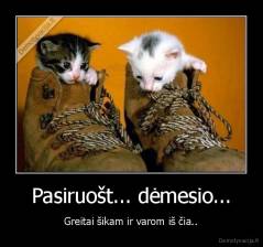 Pasiruošt... dėmesio... - Greitai šikam ir varom iš čia..