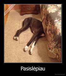 Pasislėpiau - 