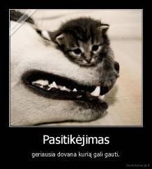 Pasitikėjimas - geriausia dovana kurią gali gauti.