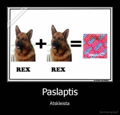 Paslaptis - Atskleista