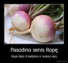 Pasodino senis Ropę - Ropė išėjo iš kalėjimo ir nudurė senį