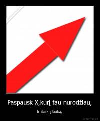 Paspausk X,kurį tau nurodžiau, - Ir išeik į lauką.