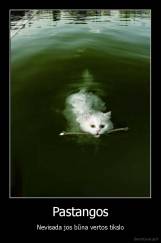 Pastangos - Nevisada jos būna vertos tikslo