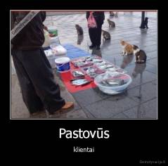 Pastovūs - klientai