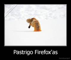 Pastrigo Firefox'as - 