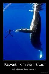 Pasveikinkim vieni kitus, - juk tai daryti šitaip lengva...