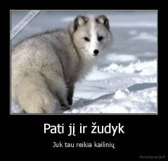 Pati jį ir žudyk - Juk tau reikia kailinių