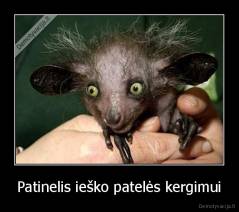 Patinelis ieško patelės kergimui - 