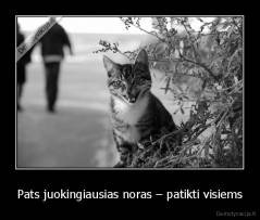 Pats juokingiausias noras – patikti visiems - 
