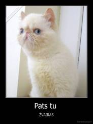 Pats tu  - ŽVAIRAS
