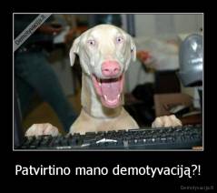 Patvirtino mano demotyvaciją?! - 