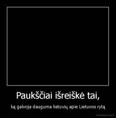 Paukščiai išreiškė tai, - ką galvoja dauguma lietuvių apie Lietuvos rytą