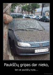 Paukščių gripas dar nieko, - bet vat paukščių tryda....