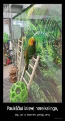 Paukščiui laisvė nereikalinga, - jeigu jam tai neprimena gimtųjų namų