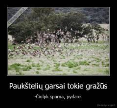 Paukštelių garsai tokie gražūs - -Čiulpk sparna, pydare.