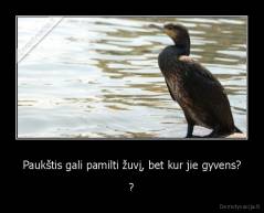 Paukštis gali pamilti žuvį, bet kur jie gyvens? - ?