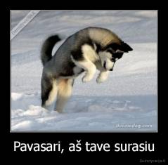 Pavasari, aš tave surasiu - 