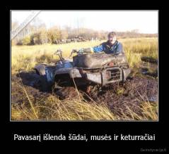 Pavasarį išlenda šūdai, musės ir keturračiai - 