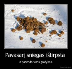 Pavasarį sniegas ištirpsta  - ir pasirodo visos grožybės.