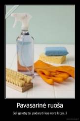 Pavasarinė ruoša - Gal galėtų tai padaryti kas nors kitas..?