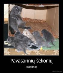 Pavasarinių šėlionių - Pasekmės