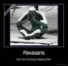 Pavasaris - Are You Fucking Kidding Me?