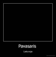 Pavasaris  - Lietuvoje