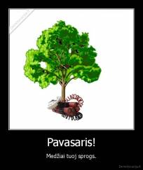 Pavasaris! - Medžiai tuoj sprogs.