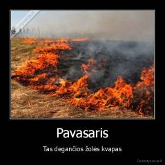 Pavasaris - Tas degančios žolės kvapas