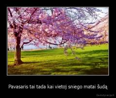 Pavasaris tai tada kai vietoj sniego matai šudą - 