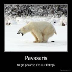 Pavasaris - tik jis parodys kas kur kakojo