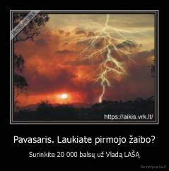 Pavasaris. Laukiate pirmojo žaibo? - Surinkite 20 000 balsų už Vladą LAŠĄ