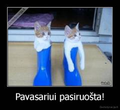 Pavasariui pasiruošta! - 