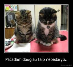 Pažadam daugiau taip nebedaryti.. - 