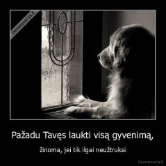 Pažadu Tavęs laukti visą gyvenimą, - žinoma, jei tik ilgai neužtruksi