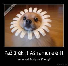 Pažiūrėk!!! Aš ramunėlė!!! - Ne ne ne! Jokių myli/nemyli