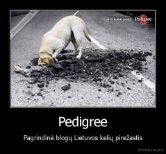 Pedigree - Pagrindinė blogų Lietuvos kelių pirežastis