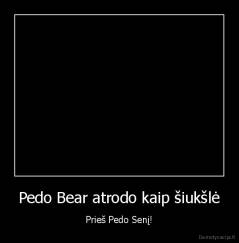 Pedo Bear atrodo kaip šiukšlė - Prieš Pedo Senį!