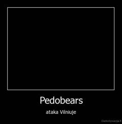 Pedobears - ataka Vilniuje