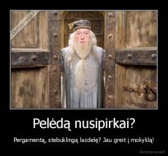 Pelėdą nusipirkai? - Pergamentą, stebuklingą lazdelę? Jau greit į mokyklą!