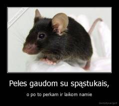 Peles gaudom su spąstukais, - o po to perkam ir laikom namie