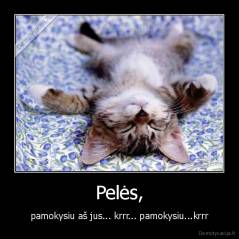 Pelės, - pamokysiu aš jus... krrr... pamokysiu...krrr