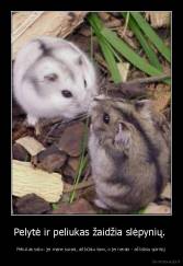 Pelytė ir peliukas žaidžia slėpynių.  - Peliukas sako: jei mane surasi, aš būsiu tavo, o jei nerasi - aš būsiu spintoj