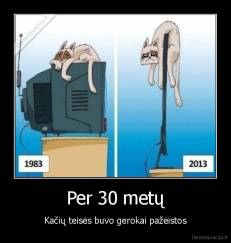 Per 30 metų - Kačių teisės buvo gerokai pažeistos