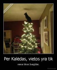 Per Kalėdas, vietos yra tik - vienai tikrai žvaigždei.