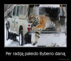 Per radiją paleido Byberio dainą - 