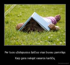 Per tuos užsitęsusius šalčius visai buvau pamiršęs - Kaip gera nekęst vasaros karščių