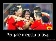Pergalė mėgsta triūsą. - 