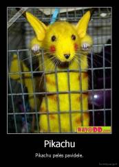 Pikachu - Pikachu pelės pavidele.